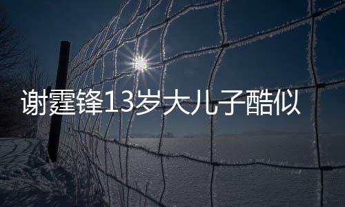 爸 柏芝谢霆大儿和张拒绝逛街牵手子酷3岁似爸锋1